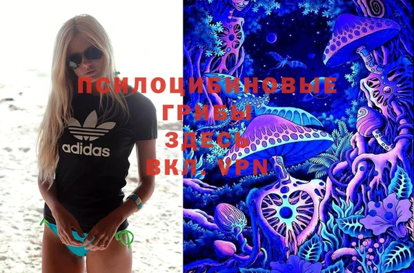 синтетический гашиш Алексеевка