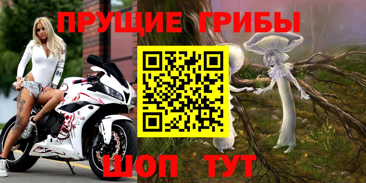 Галлюциногенные грибы MAGIC MUSHROOMS  Вход с VPN  Элиста 
