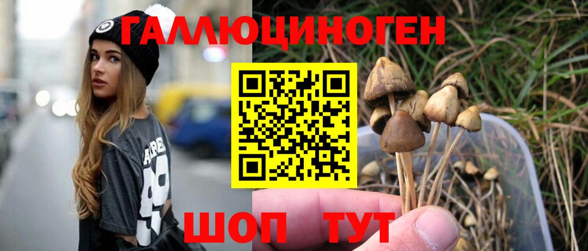 Псилоцибиновые грибы MAGIC MUSHROOMS Элиста